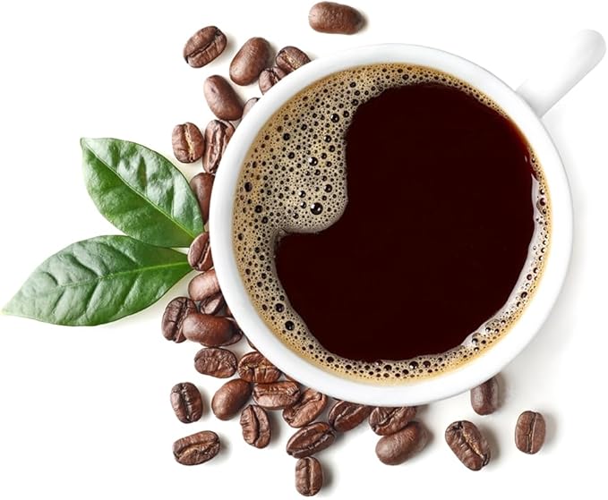 Coffee Plant Arabica Real Live Plant for Sale (12 Pack) | Coffee Lover's Dream | Easy to Grow Live for Planting | Grow Your Own Food on Your Edible Organic Garden |