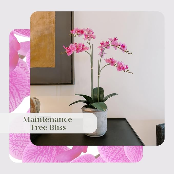 CG Hunter Faux Pink Orchid Plant, Premium Artificial Indoor Flower Display Stands 24”, Beautiful Sculptural Blooms That Lasts Forever, Grey Planter Pot Included