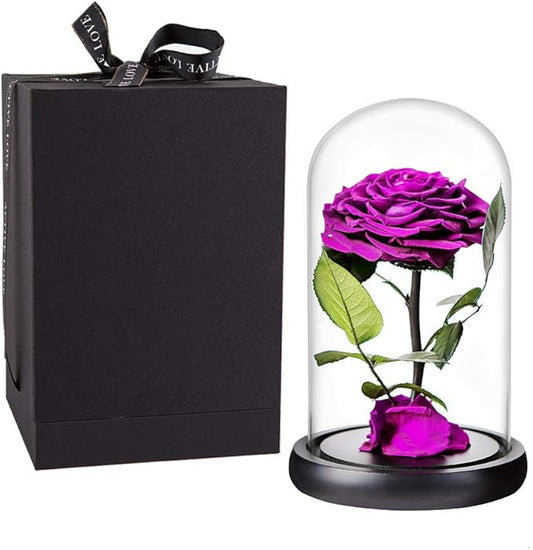 Purple Roses Handmade Rose in Glass Dome, Preserved Flowers Never Withered Romantic Gifts for Her, Mother's Day, Birthday Gifts for Women (9 inch, Purple)