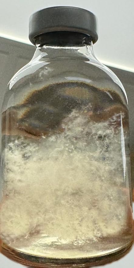 Quick Culture Mini Spore Germinating Liquid Culture Jars (3-Pack)