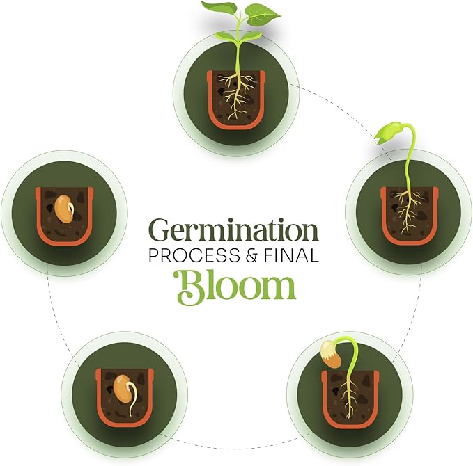 Set of 6 Seed Paper – 6 Pink Hearts & 6 White Pots with Bow for Baby Shower, Gender Reveal, Birthday, & Other Milestone Celebrations