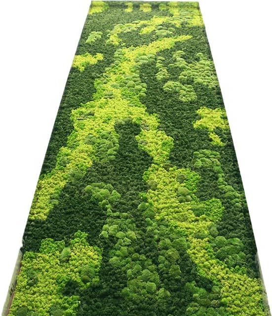 Preserved Reindeer Moss Natural Green DIY Kit Gardenning Art Wall Decor Florist Decor Easter Table Decor Wedding