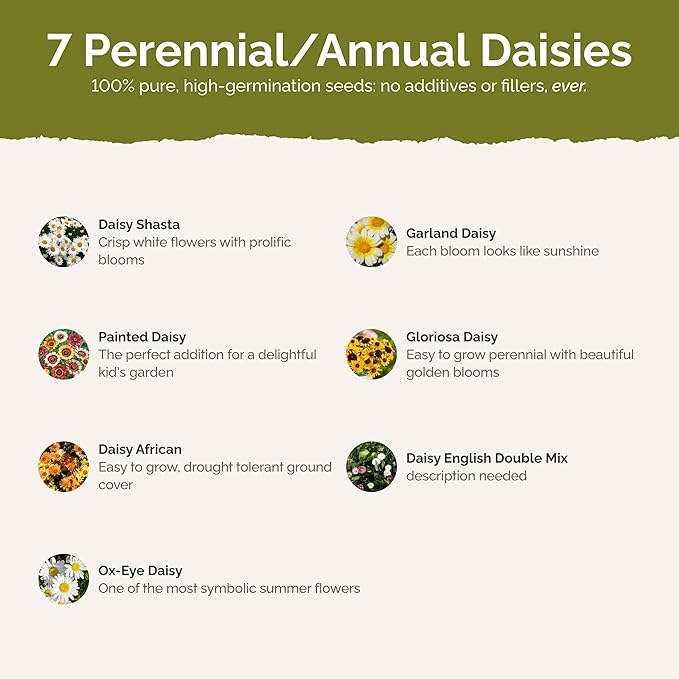 Eden Brothers Daisy Crazy Flower Mixed Seeds for Planting, 5 lb, 2,400,000+ Seeds with Creeping, Painted, Yellow Daisy | Attracts Pollinators, Plant in Spring or Fall, Zones 3, 4, 5, 6, 7, 8, 9, 10