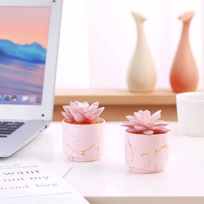 Succulent Artificial Plants,Cute Fake Succulents in 2 Pink Ceramic Pots,Small Fake Plants for Office,Table,Desk,Bathroom, Bedroom,Aesthetic Room Shelves Decor,Desk Decorations for Women Office