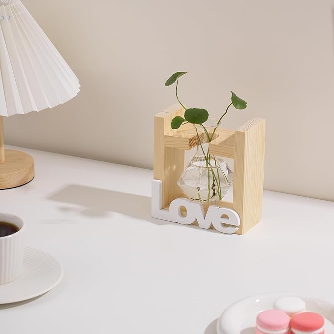 Cute Room Decor Home Decor Office Decor Desk Accessories Women Birthday Present Wife Ideas Propagation Station Vases Plant Terrarium Stuff Grandma Items Valentinesday Decorations for Her
