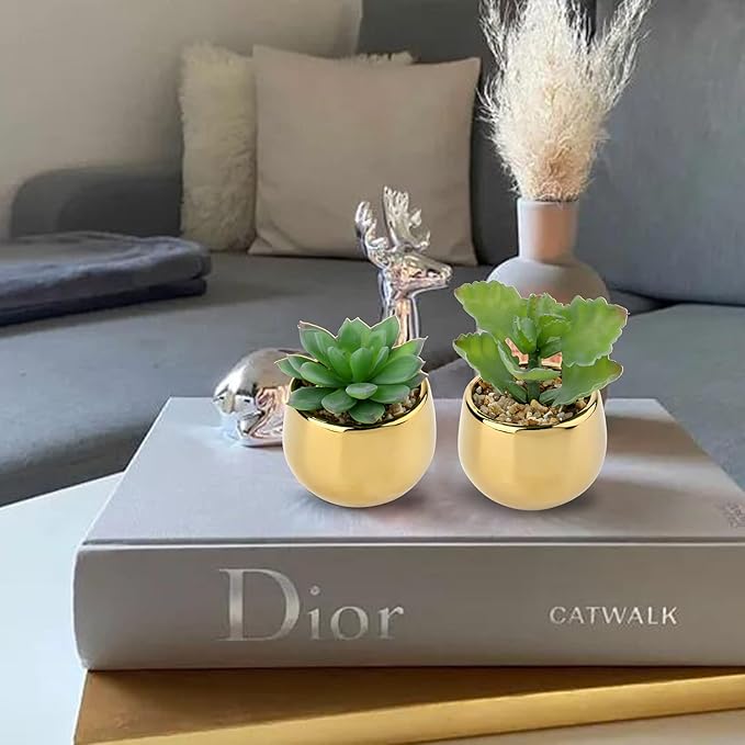 Briful Small Artificial Succulents in Pots Set of 2 Realistic Faux Succulents Plants with Gold Ceramic Pots Cute Mini Fake Plants Decor for Modern Home Table Office Desk Bathroom Shelf Decoration