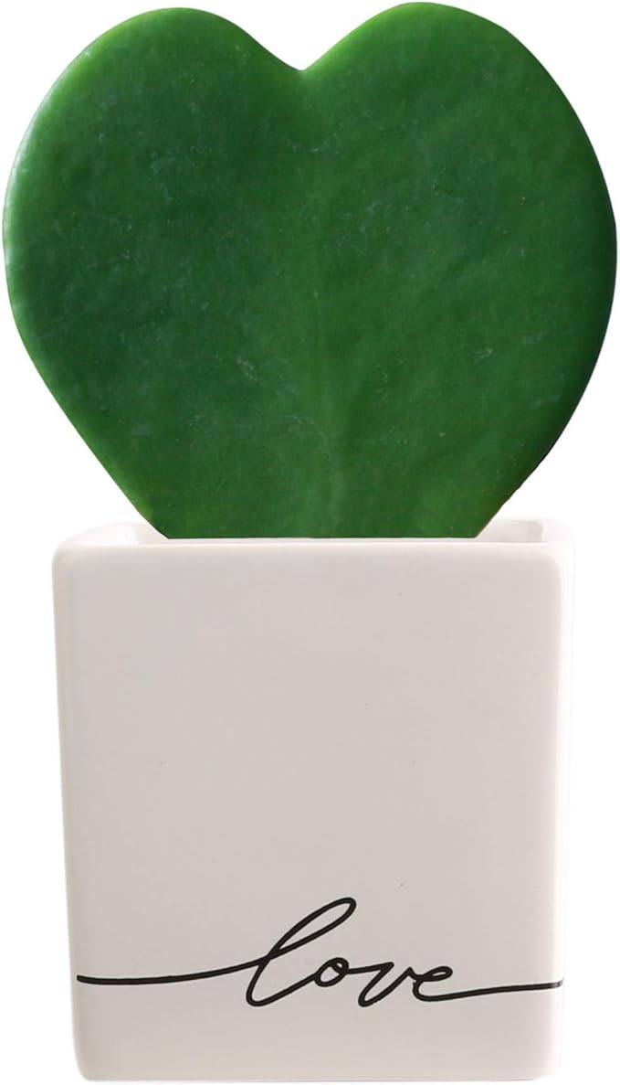 Costa Farms Live Indoor Plant Hoya Heart, Succulent-Like Houseplant in Modern Decor Love Planter, Room Décor, Desk Décor, Birthday, Unique Gift, Excellent Tabletop Size, Room Décor, 5-Inches Tall