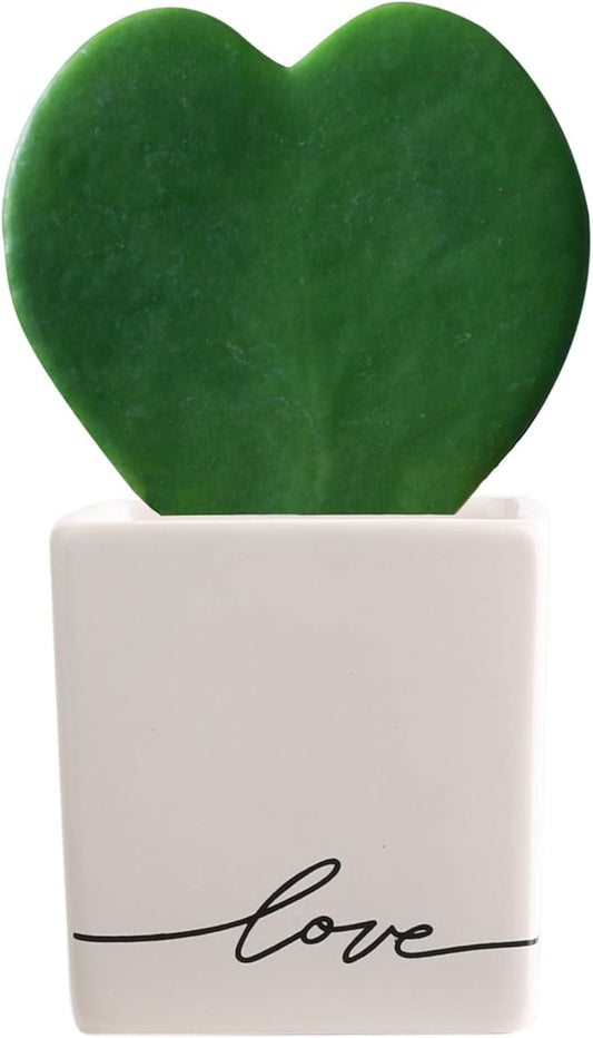 Costa Farms Live Indoor Plant Hoya Heart, Succulent-Like Houseplant in Modern Decor Love Planter, Room Décor, Desk Décor, Birthday, Unique Gift, Excellent Tabletop Size, Room Décor, 5-Inches Tall