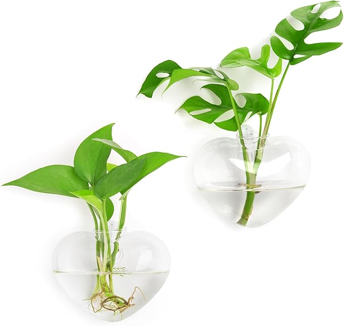 XXXFLOWER Wall Hanging Glass Terrariums，Clear Planters Propagation Station Glass Flower Vase,Air Plant Terrariums for Hydroponic Plants,Home Office Decor,Gifts,Heart-Shaped Set of 2