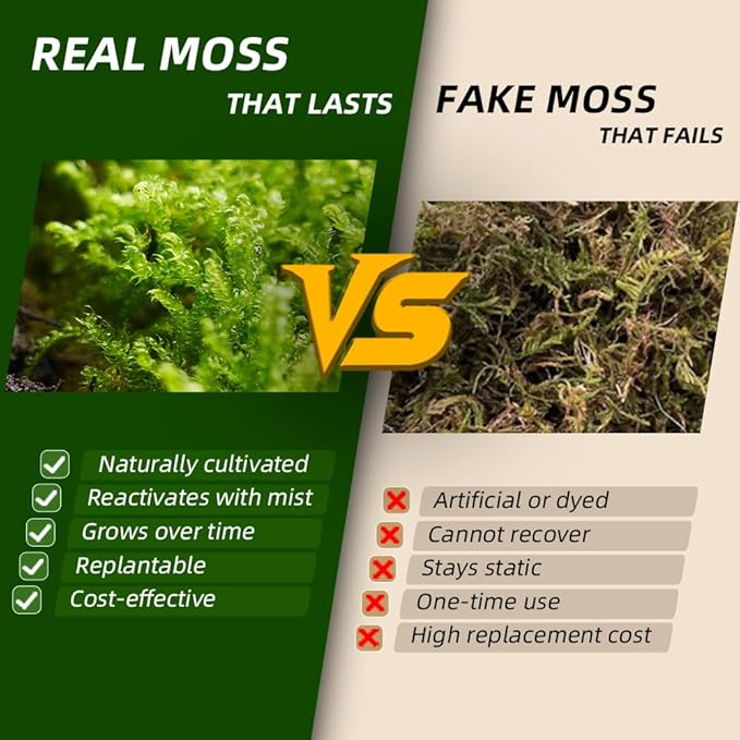 Real Live Moss Variety Pack (Each 3.5"x7"), Decorative Real Moss for Terrariums, Mini Gardens, Potted Plants & Bonsai – Naturally Grown, Reusable, Not Artificial