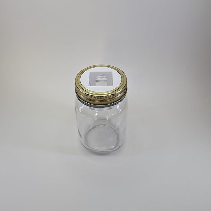 Grow Cubes Mason Jar Adapters for Kratky and DWC Gardening/Compatible with Gardyn (10 Mason Jar adapters)
