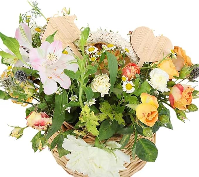 Elsjoy 90 Pack Bamboo Plant Labels, 9 Styles Cute Plant Tags Garden Markers, Wooden Garden Labels for Seeds, Herbs, Vegetables, Gifts