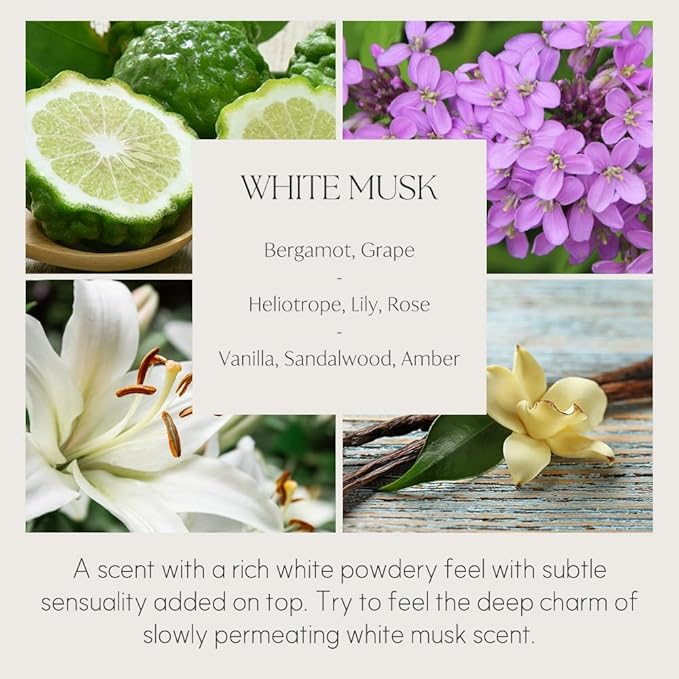 396 st. Preserved Baby's Breath Flower Reed Diffuser, White Musk, 200ml(6.7oz) / Reed Diffuser Sets, Home Fragrance, Scented Oils, Home & Bathroom Décor