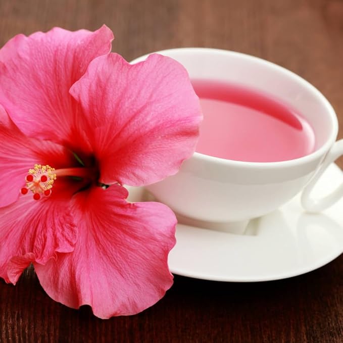 Pink Hibiscus. rosa-sinensis. Live Plant - Tropical Blooming Hibiscus, Pretty Flowers, Used in Tea and Juice (4 Pink Hibiscus Cups)