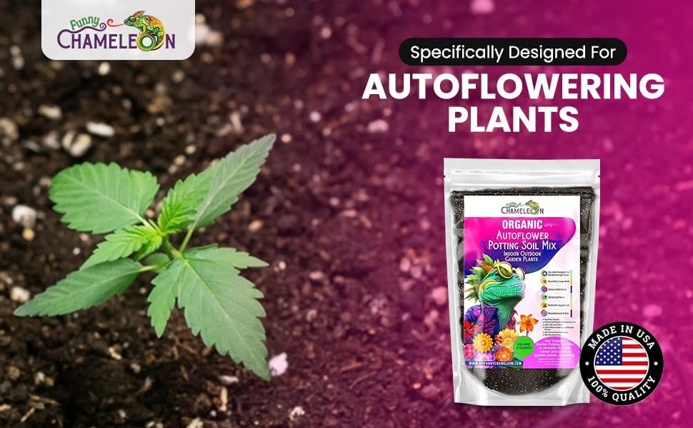 Organic Autoflower Potting Soil Mix – Ready-to-Use Living Soil, No Fertilizers Needed – Balanced Nutrients, Light Texture, Excellent Drainage, Boosts Germination & Root Growth (2 QUARTS)