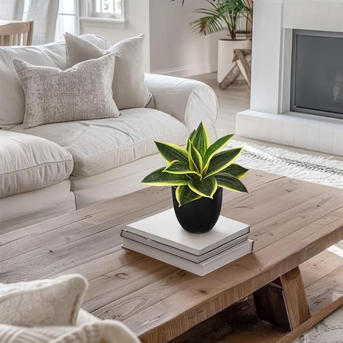 Hollyone Artificial Snake Plants 9" Faux Agave Succulent Plant Potted in Black Pot Fake Sansevieria Aloe Tropical Plant for Desk Modern Office Home Bathroom Indoor Outdoor Decor