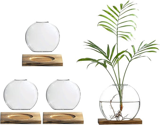 Glass Planter Propagation Station with Wooden Base - Clear Oblate Hydroponic Vase, Decorative Desktop Flower Vase for Home, Office, Windowsill - Gift for Plant Lovers (4)