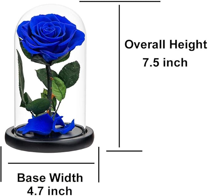 Preserved Roses Royal Blue Roses in Glass Dome, Medium, Preserved Flowers for Women