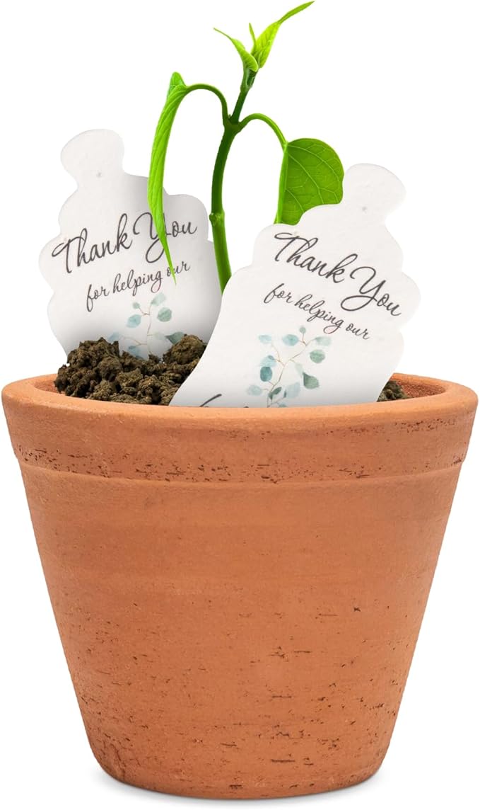 Plantable Bottle Shaped Seed Paper – 15 Green Baby Shower Favors for Guests with Wildflower Seeds, Baby Shower Gifts for Guest