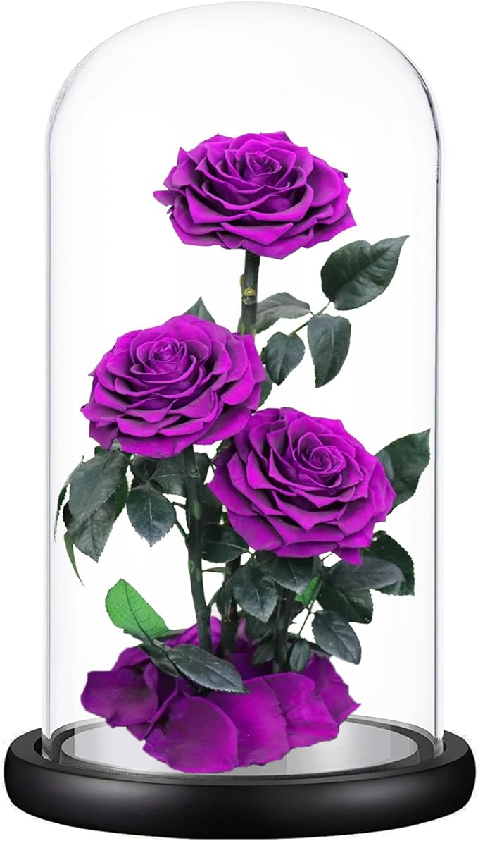 Purple Roses Handmade Rose in Glass Dome, Preserved Flowers Never Withered, Birthday Gifts for Women (13 inch)