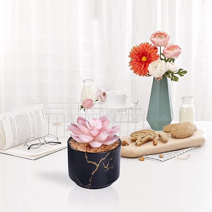 Succulent Artificial Plants,Cute Fake Succulents in 1 Black Ceramic Pots,Small Fake Plants for Office,Table,Desk,Bathroom, Bedroom,Aesthetic Room Shelves Decor,Desk Decorations for Women Office