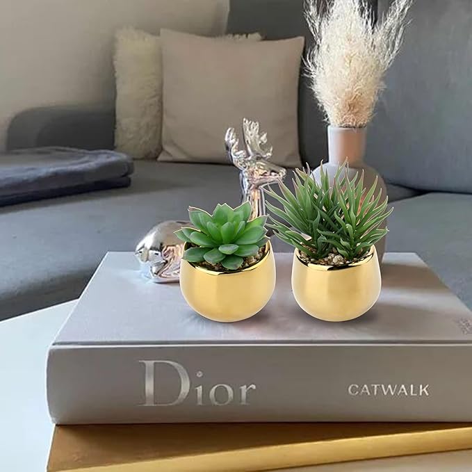 Briful Small Artificial Succulents in Pots Set of 3 Realistic Faux Succulents Plants with Gold Ceramic Pots Cute Mini Fake Plants Decor for Modern Home Table Office Desk Bathroom Shelf Decoration