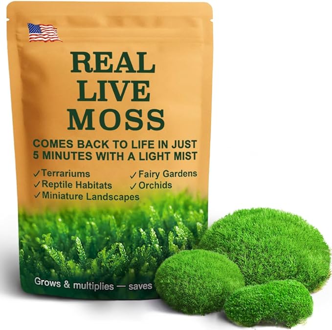 Live Moss – Leucobryum Moss (2 Sheets, Each Approx. 3.5"x7") for Terrariums, Bonsai, Potted Plants & Natural Moss Art – Cushion-Style Texture, Naturally Grown, Reusable, Not Artificial