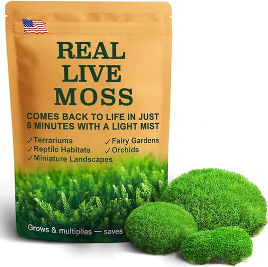 Live Moss – Leucobryum Moss (2 Sheets, Each Approx. 3.5"x7") for Terrariums, Bonsai, Potted Plants & Natural Moss Art – Cushion-Style Texture, Naturally Grown, Reusable, Not Artificial