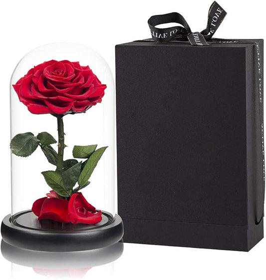 Red Roses Handmade Rose in Glass Dome, Preserved Flowers Never Withered Romantic Gifts for Her, Mother's Day, Birthday Gifts for Women