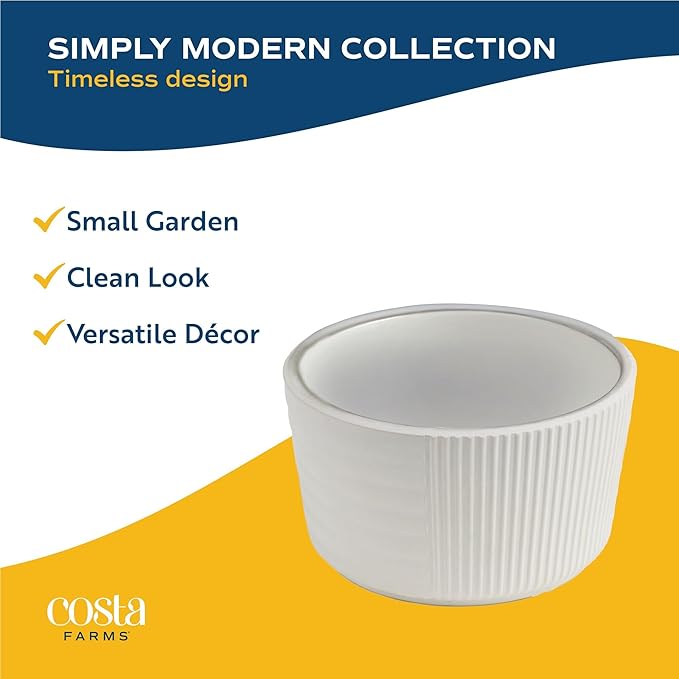 Costa Farms Live Succulents Garden, Assorted Plant Varieties in Decorative Pot, Easy to Maintain Succulent Indoor Houseplants, Room Decor, House Warming or Birthday Gift, 6 Inches Tall