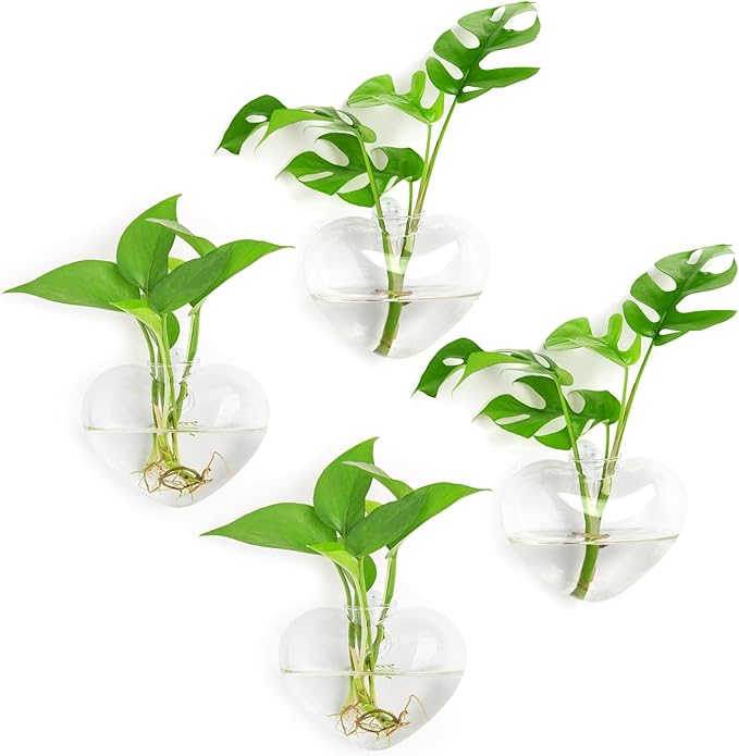 XXXFLOWER Wall Hanging Glass Terrariums，Clear Planters Propagation Station Glass Flower Vase,Air Plant Terrariums for Hydroponic Plants,Home Office Decor,Gifts,Heart-Shaped Set of 4