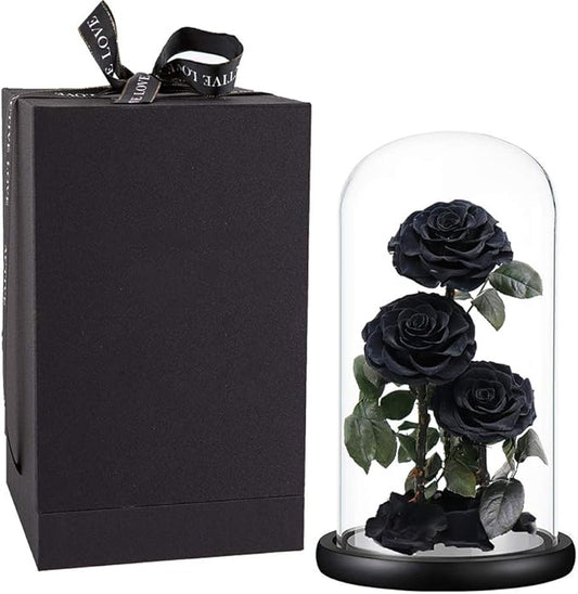 Preserved Roses Handmade Preserved Flowers in Glass Dome, Black Roses Never Withered, Birthday Gifts for Her (13 inch)