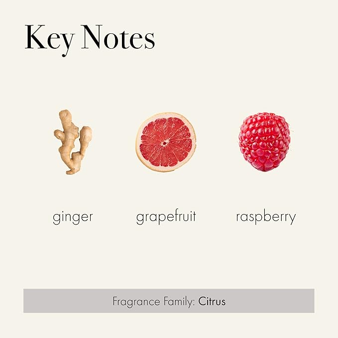 LAFCO New York Signature Reed Diffuser, Champagne - 15 oz - Up to 9 Months Fragrance Life - Reusable, Hand Blown Glass Vessel - Natural Wood Reeds - Made in The USA