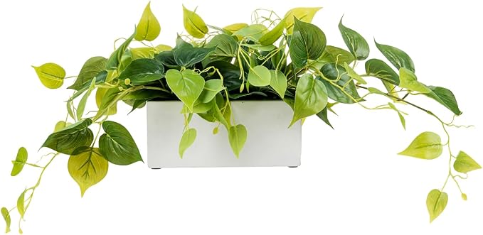 MyGift Vibrant Lifelike Artificial Plant Pothos Leafy Vine Greenery in White Concrete Rectangular Planter Box