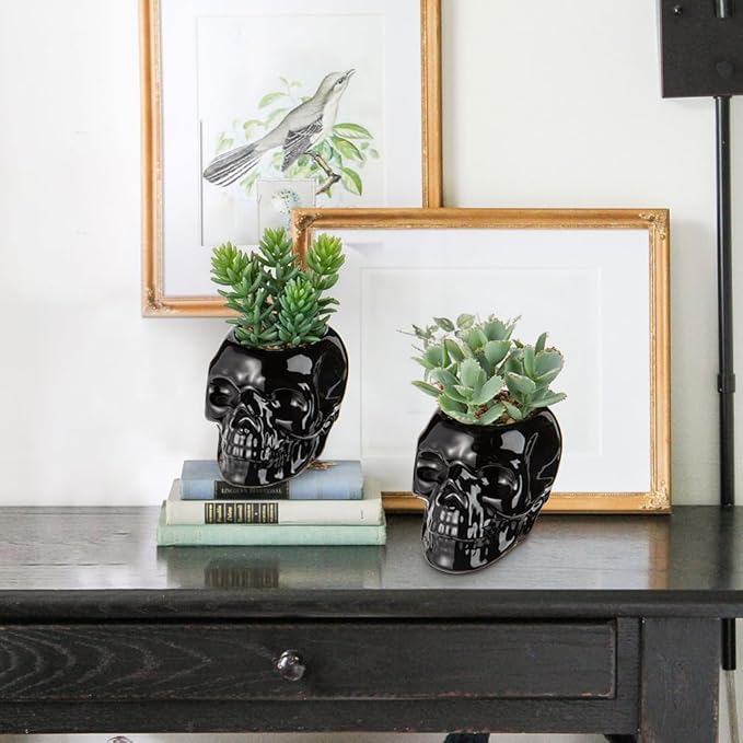Small Fake Succulents Plants Artificial Succulents in Pots Set of 2 Mini Succulent Plant Realistic Faux Plants Skull Artificial Succulent Plants for Home Office Table Bedroom Bathroom Shelf Decor