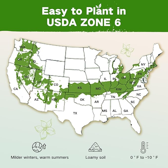 Lush&Dew Year-Round USDA Zone 6 Heirloom Survival Seed Kit, 32 Varieties 30,000+ Seeds for Planting Vegetables Herbs, Gardening Gifts for Women Men, Raised Garden Bed, Greenhouse Indoor Outdoor