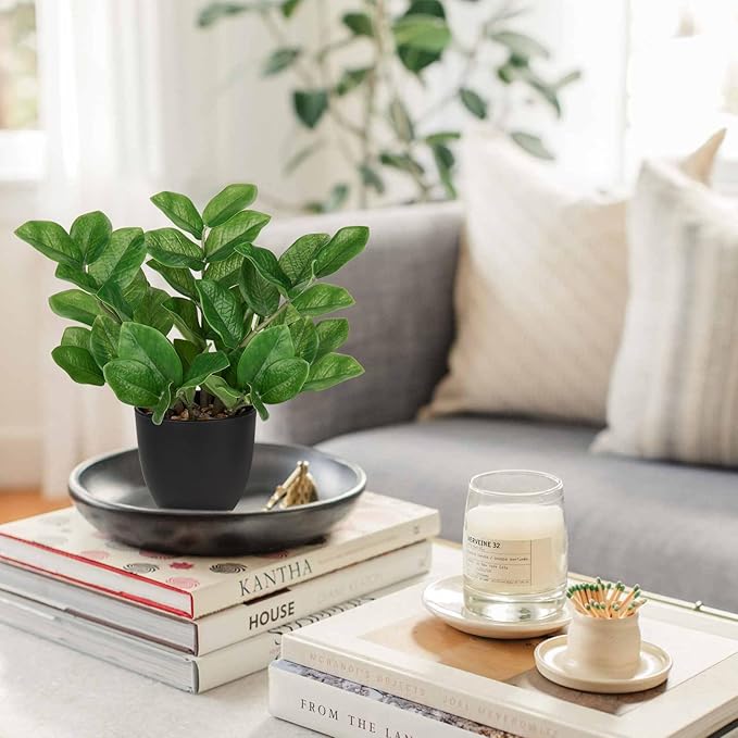 Briful Faux Plants Indoor, Artificial ZZ Plants in Black Pot Fake House Silk Plants for Home Office Dining Table Shelf Decor Bathroom Aesthetic (Green, 1Pack)