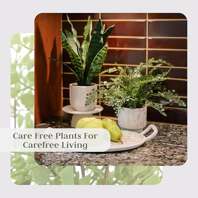 Faux Snake Plant & Fern, Set-of-2 Premium Artificial Indoor Plants, Enhances Interior Design, Lifelike-Leaves Create Realistic Natural Appearance, Grey Planter Pot Included