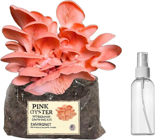 Pink Oyster Mushroom Growing Kit, Starter-Friendly & Fast Harvest Mushrooms Growing Kit, Handmade in USA, Great Gift