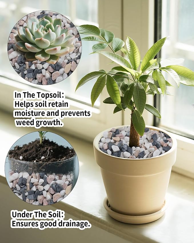 12LB Succulent & Cactus Gravel Pebbles,1/4-3/8 Inch Natural Polished River Rocks Decorative Stones for Succulent Planters,Cactus Pots,Vases,Aquariums,Outdoor Gardening Mixed Colors