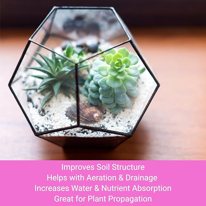 Professional Perlite | Large 2.2 Quarts | Medium Grade for Container and Garden Plants | pH Neutral Lightweight Soil Additive | Made in USA
