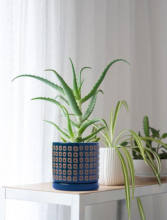 D'vine Dev Set of 2 Ceramic Planter Pots with Drainage Hole and Saucer, 4.5 Inch 6 Inch Plant Pots for Indoor Houseplants, Blue, 99-A-6