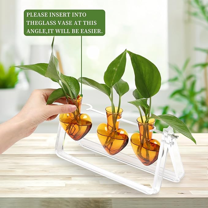 Clear Plant Terrarium Propagation Stations with Acrylic Stand Birthday Gifts for Women Office Home Decor