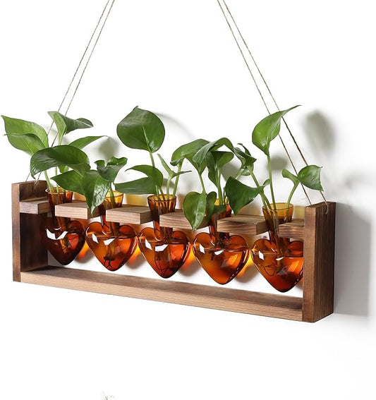 Plant Terrarium Hanging Propagation Stations Gift for Women Plant Lover air Plant Holder with Wooden Stand Heart Glass