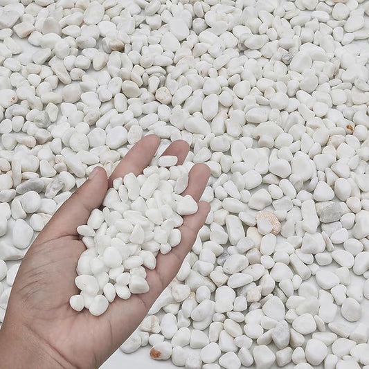 12LB White Succulent & Cactus Gravel Pebbles - 1/4-3/8 Inch Natural Polished River Rocks, Decorative Stones for Plants, Terrariums, Vases, Aquariums & Outdoor Gardening