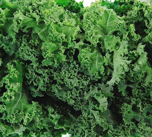 Dwarf Siberian Kale Seeds for Planting – Plant & Grow Heirloom Non-GMO Dwarf Siberian Kale in Home Outdoor Vegetable Garden, Brassica Napus – 1 Packet Approx 200 Seeds
