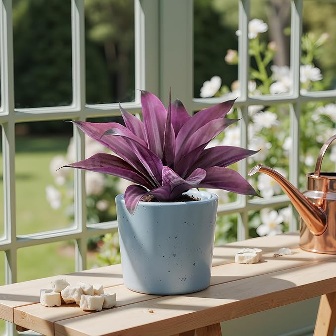 Artificial Flowers for Outdoors Artificial Agave Fake Plants Faux Agave Artificial Plants Outdoor Fake Flowers Outdoor Faux Plants Indoor Uv Resistant Artificial Plants 12In(Purple，2pcs)