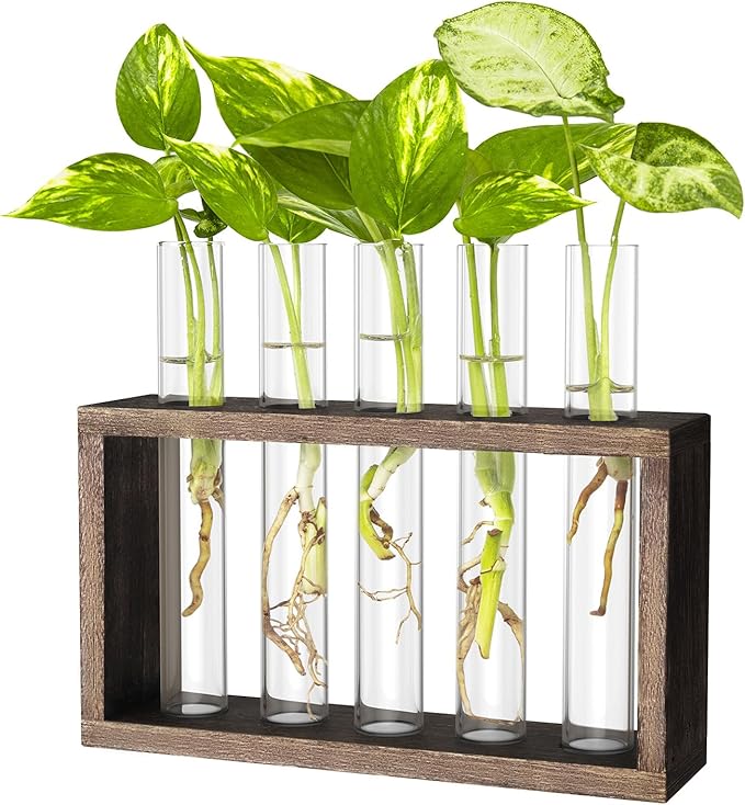 Propagation Station, Plants Terrarium, Plants Lover Gifts for Women,Plant Cutting Holder Home décor,Gifts for Women,House Warming New Home-5 Tubes-Brown