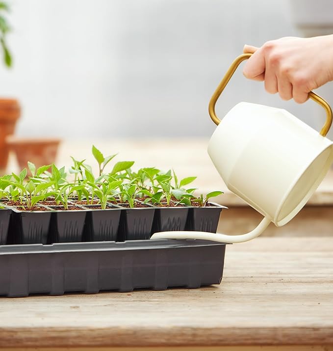 Burpee Self-Watering Seed Starter Tray, 72 Cells