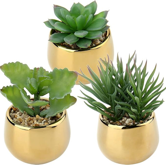 Briful Small Artificial Succulents in Pots Set of 3 Realistic Faux Succulents Plants with Gold Ceramic Pots Cute Mini Fake Plants Decor for Modern Home Table Office Desk Bathroom Shelf Decoration